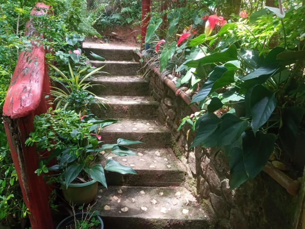 Nethsara Cottage إيلا المظهر الخارجي الصورة