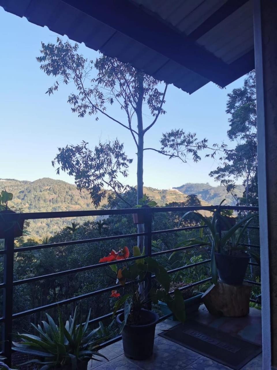 Nethsara Cottage إيلا المظهر الخارجي الصورة